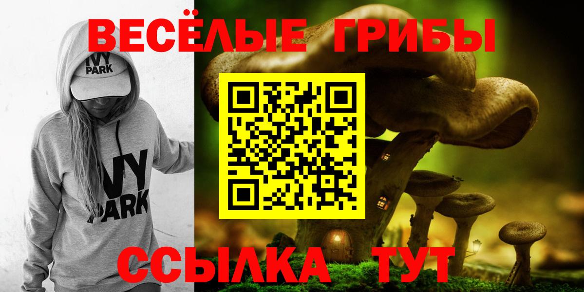 Галлюциногенные грибы прущие грибы  Вход с VPN  Псилоцибиновые грибы Magic Shrooms  купить закладку  Георгиевск 