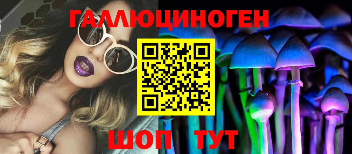 Псилоцибиновые грибы Psilocybine cubensis Георгиевск